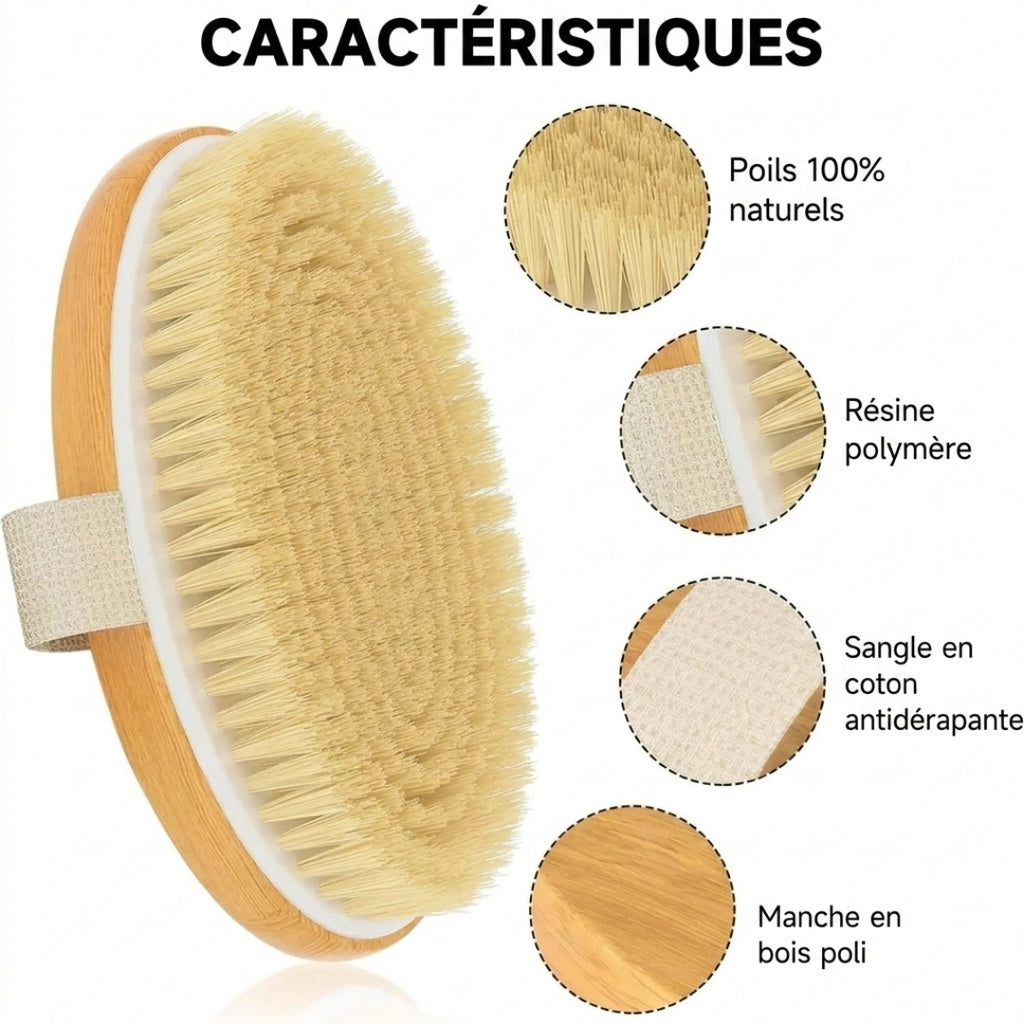 Brosse de Massage Anti-Cellulite