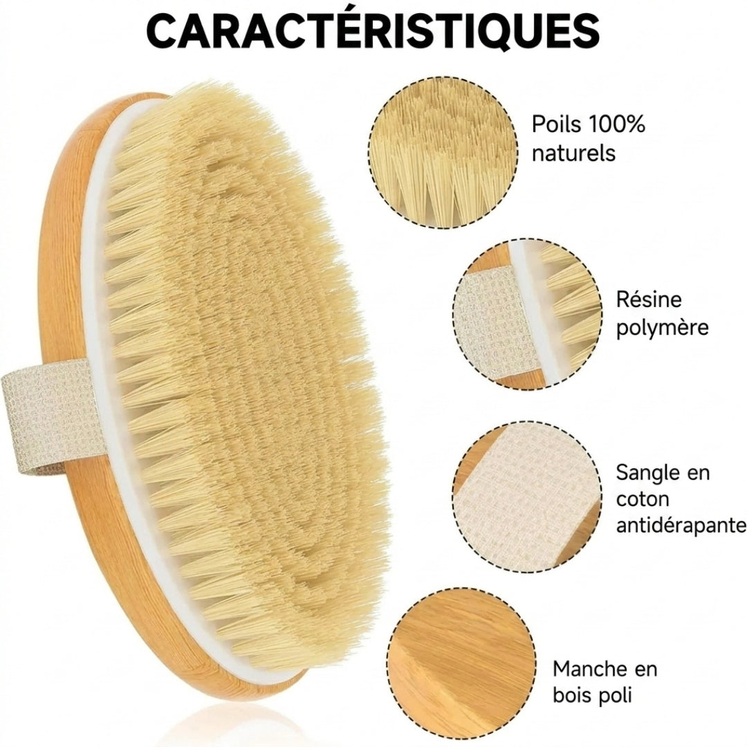 Brosse de Massage Anti-Cellulite