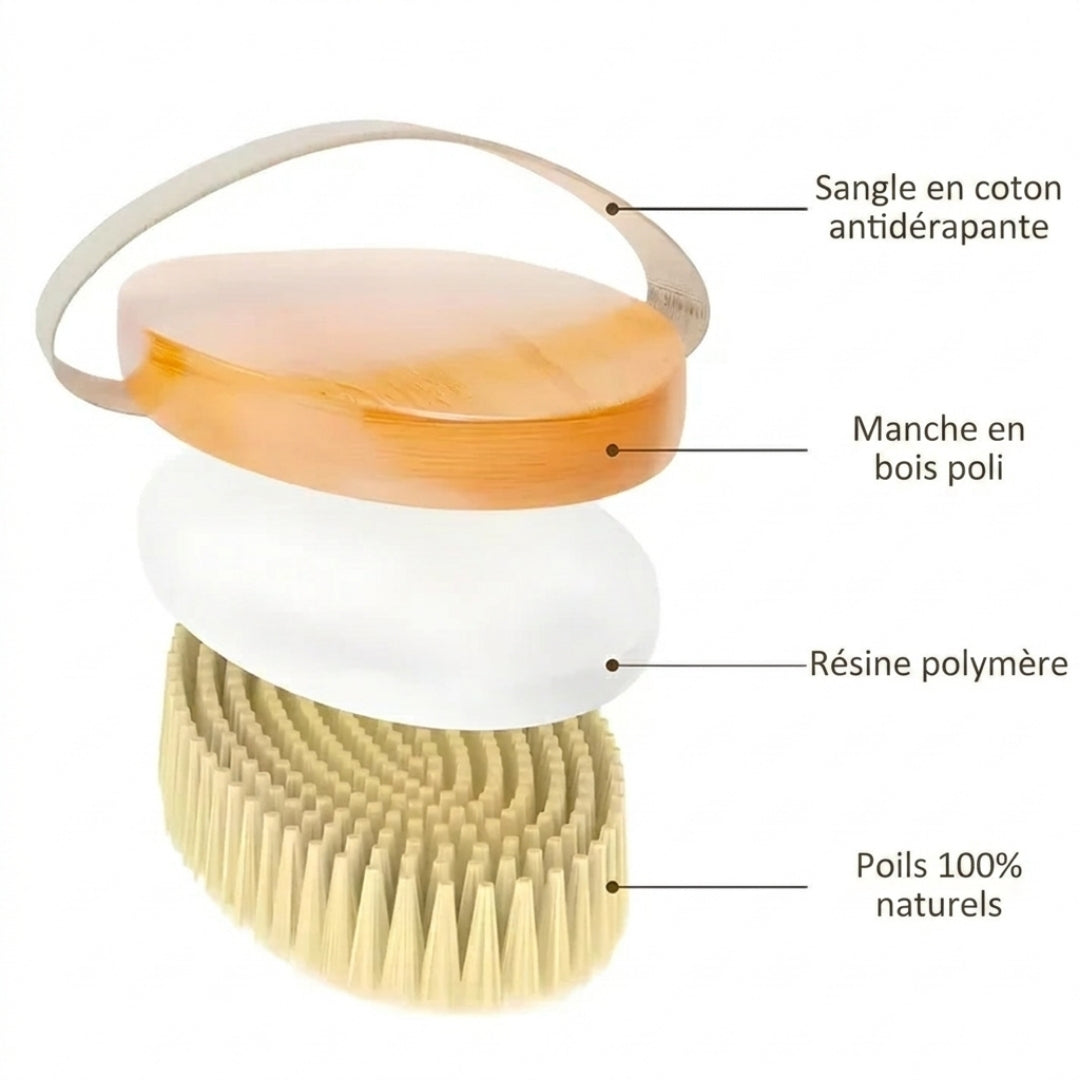 Brosse de Massage Anti-Cellulite
